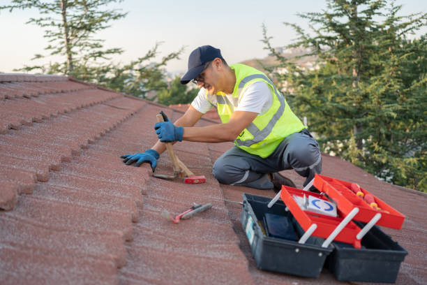 Best Roof Waterproofing Services  in Edgemont Park, MI