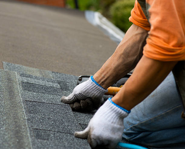 Best Shingle Roofing Installation  in Edgemont Park, MI