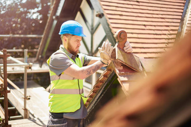 Best Roof Replacement Cost  in Edgemont Park, MI