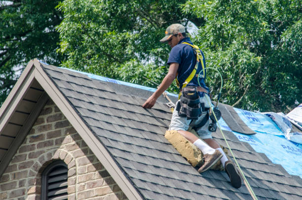 Best Local Roofing Companies  in Edgemont Park, MI
